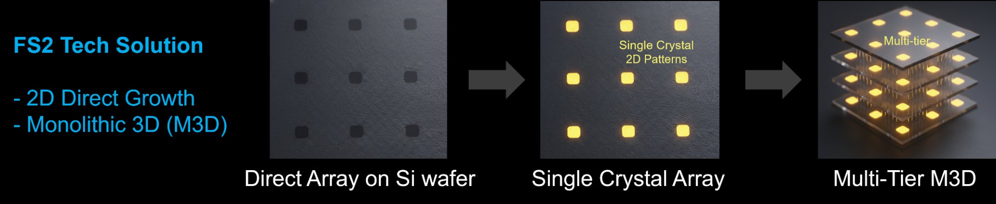 FS2 Tech Solution - 2D Direct Growth and Monolithic 3D